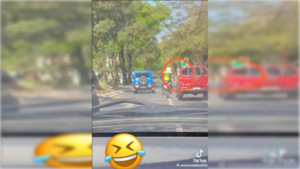 [VIDEO] "Zorro" golpeó y rompió retrovisor de una camioneta
