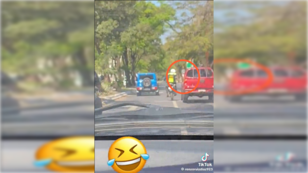 [VIDEO] "Zorro" golpeó y rompió retrovisor de una camioneta