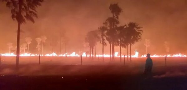 Video: fuego llegó a metros de escuela agrícola en Benjamín Aceval y puso en peligro a alumnos - Nacionales - ABC Color