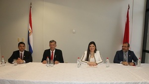 Confirman nueva bancada colorada en Diputados