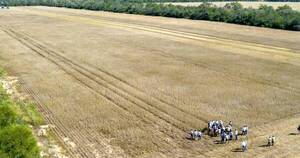 La Nación / Indert: menor tasa de interés alivianará deuda de G. 8 mil millones a favor de agricultores
