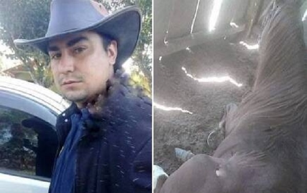 De una patada, un caballo mató a su cuidador - Noticiero Paraguay