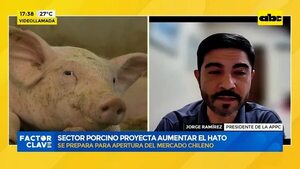 Video: sector porcino proyecta aumentar el hato - Factor Clave - ABC Color