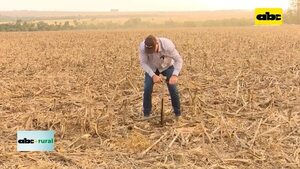 Video: extracción de muestra de suelo e importancia de correctivos  - ABC Rural - ABC Color
