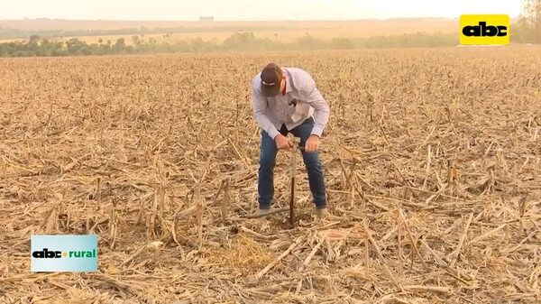 Video: extracción de muestra de suelo e importancia de correctivos - ABC Rural - ABC Color