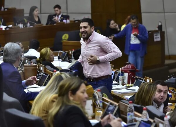 En Diputados “observan” a funcionarios cachafaces mientras planilleros siguen impunes - Política - ABC Color