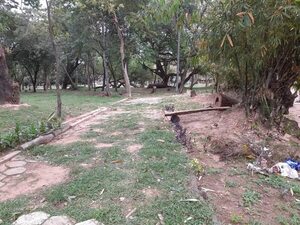Parque Caballero: a pesar de los intentos de mejoras, la inseguridad y falta de mayor cuidado siguen vigentes - Nacionales - ABC Color