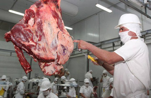 Apertura de Canadá sería el primer paso para concretar envíos de carne a EE. UU.