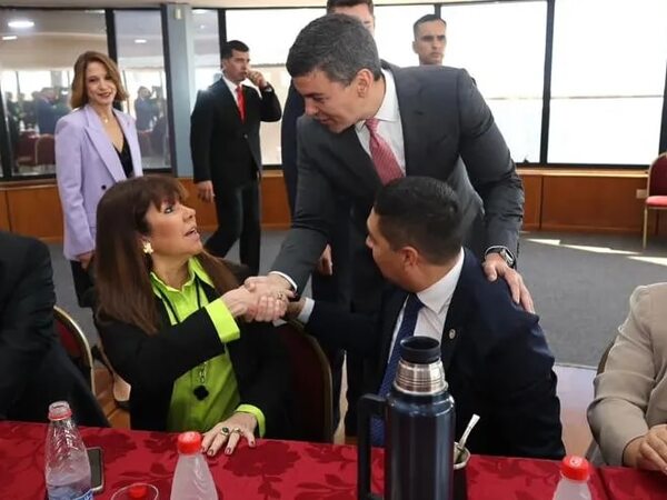 Retirar toda la energía de la EBY: “En este caso le defiendo a Peña”, dice Celeste Amarilla - Política - ABC Color