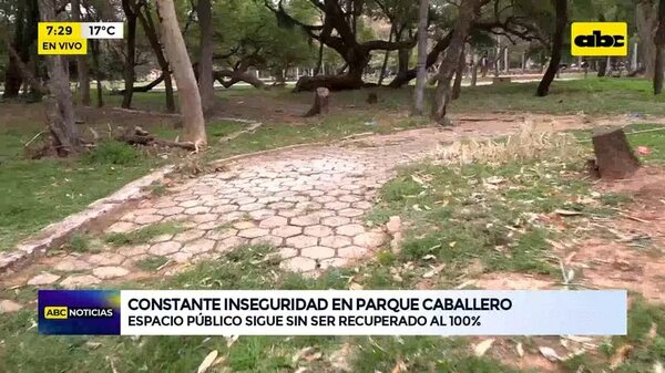 Video: Constante inseguridad en Parque Caballero - ABC Noticias - ABC Color