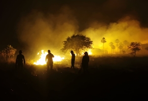 INFONA en alerta diaria ante alta posibilidad de ocurrencia de incendios - Megacadena