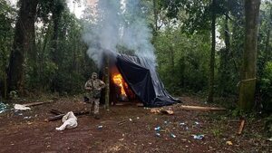 Itapúa: Incautan y destruyen casi dos toneladas de marihuana en reserva natural - Policiales - ABC Color