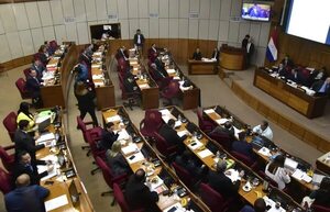 Senadores no descartan revisar otros artículos de proyecto de Ley de Carbono - Economía - ABC Color