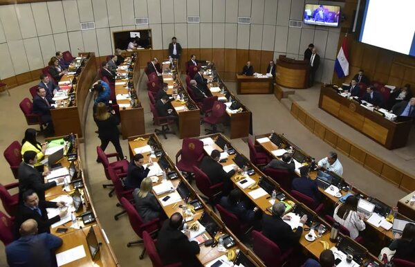 Senadores no descartan revisar otros artículos de proyecto de Ley de Carbono - Economía - ABC Color