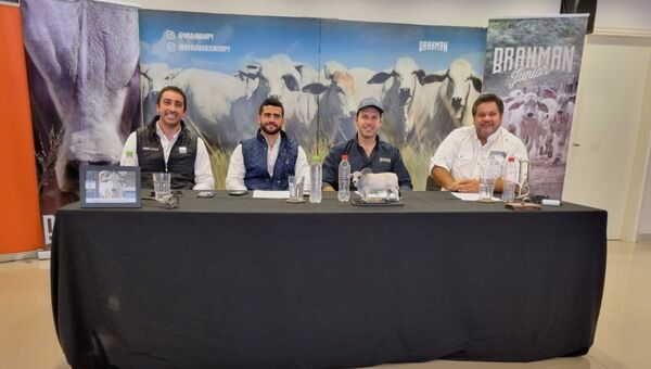 Con desmamantes superiores, Brahman quiere seguir expandiéndose y optimizar los rodeos paraguayos