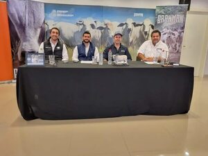 Preparan dos días de “Brahman a corral” - Economía - ABC Color