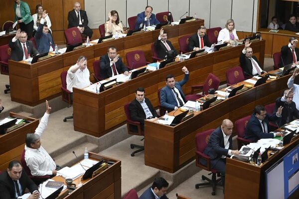 Cámara de Senadores volverá a tratar millonario préstamo para franja costera de Asunción - Política - ABC Color