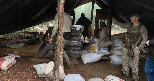La Nación / Hallan dos t de drogas en reserva natural