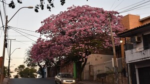 El invierno se despide con clima caluroso y húmedo