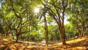 Anuncian miércoles inestable: Calor y lluvias dispersas