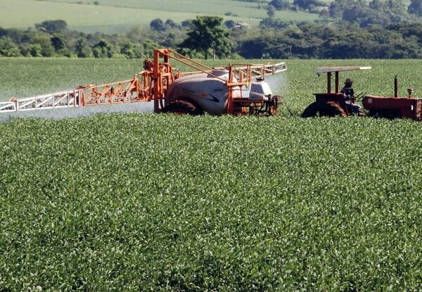 UE analiza renovar permiso para uso de glifosato - Mundo - ABC Color