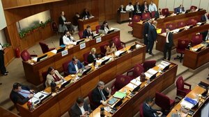 Media sanción a reducción de monto por delitos bagatelarios