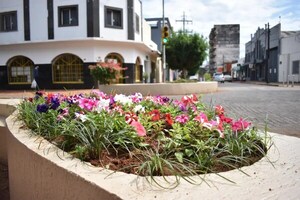 LA PRIMAVERA ARRANCA CON MÁXIMA DE HASTA 43 GRADOS, Y OLA DE CALOR TRAE PELIGRO MORTAL