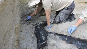 ARQUEÓLOGOS HALLAN LA ESTRUCTURA DE MADERA MÁS ANTIGUA QUE SE CONOCE