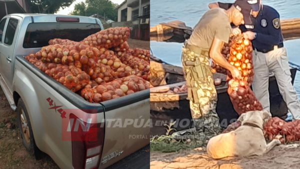 INCAUTARON CASI UNA TONELADA Y MEDIA DE CEBOLLAS EN EL RÍO PARANÁ - Itapúa Noticias