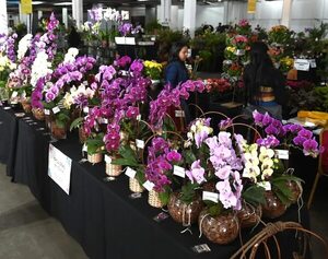 Primavera: exitoso cierre de la Expo Flora 2023, hoy en el Centro de Convenciones Mariscal - Sociales - ABC Color