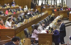 Rechazan comisión para ver estado de cajas jubilatorias - Política - ABC Color