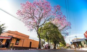 La primavera arranca con máxima de 43 grados, y ola de calor trae peligro mortal. - Oasis FM 94.3