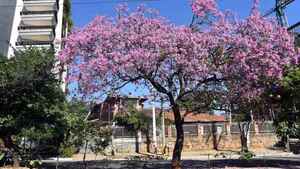 La primavera llega con 40°C y lluvias en zonas de la frontera