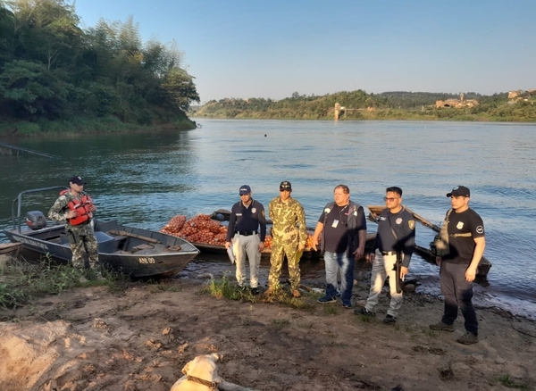 INCAUTAN MÁS DE UNA TONELADA DE CEBOLLA DE CONTRABANDO QUE INGRESABA POR EL RÍO PARANÁ