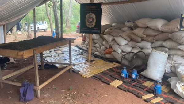Anulan red de campamentos narcos y más de cinco toneladas de marihuana en Canindeyú