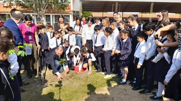 Quieren plantar 20 mil árboles nativos en Ñeembucú - Nacionales - ABC Color