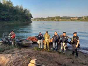 Itapúa: incautan cebollas que venían de contrabando por el río Paraná
