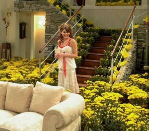 ¿Por qué se regalan flores amarillas el 21 de septiembre?