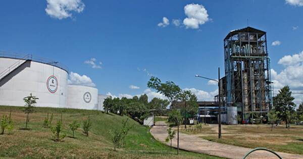 La Nación / Titular de Contrataciones habló de situaciones llamativas en planta de Troche