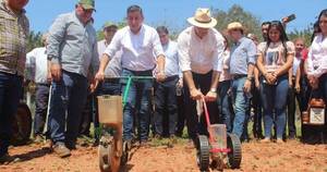 La Nación / Con grandes expectativas se inicia la siembra del sésamo