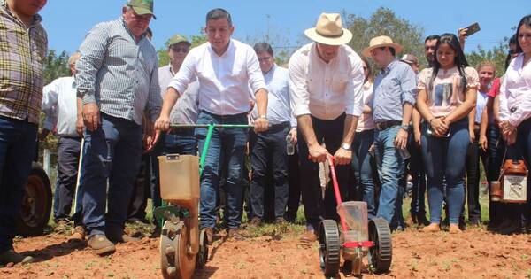 La Nación / Con grandes expectativas se inicia la siembra del sésamo