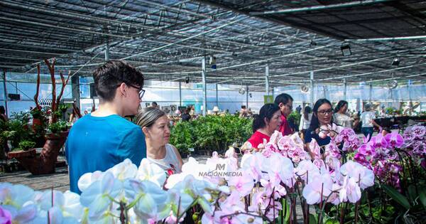 La Nación / ¡Exitoso primer día de la tercera edición de Flori Feria!