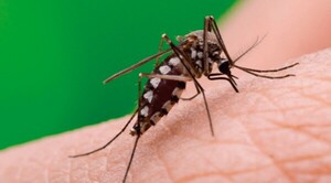 Diario HOY | “Este año nos toca”: advierten sobre fuerte epidemia de dengue