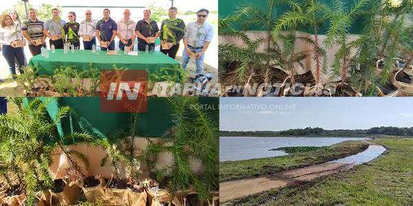 JAIME HINTERLEITNER PARTICIPÓ DE LA JORNADA DE REFORESTACIÓN DEL BOSQUE DEL KURI'Y - Itapúa Noticias