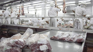 Mercosur exportará un récord de 5,21 millones de toneladas de carne vacuna en 2024