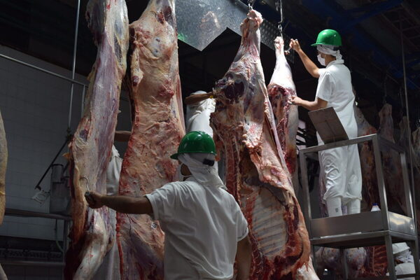 En agosto ingresaron a China 270 mil toneladas de carne vacuna