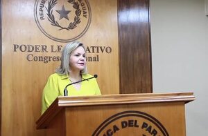 Senadora espera que se evalúe a los funcionarios ante eventuales despidos masivos - Política - ABC Color