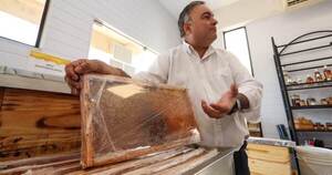 Mipyme familiar logra innovar en el mercado de la miel