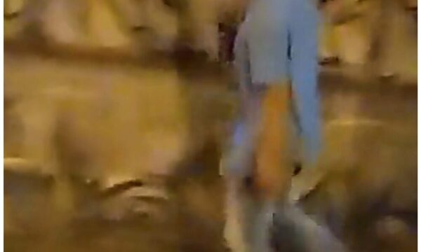(VIDEO)Ka`ucho se accidentó y abandonó a su acompañante y vehículo