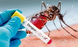 Advierten sobre fuerte epidemia de dengue